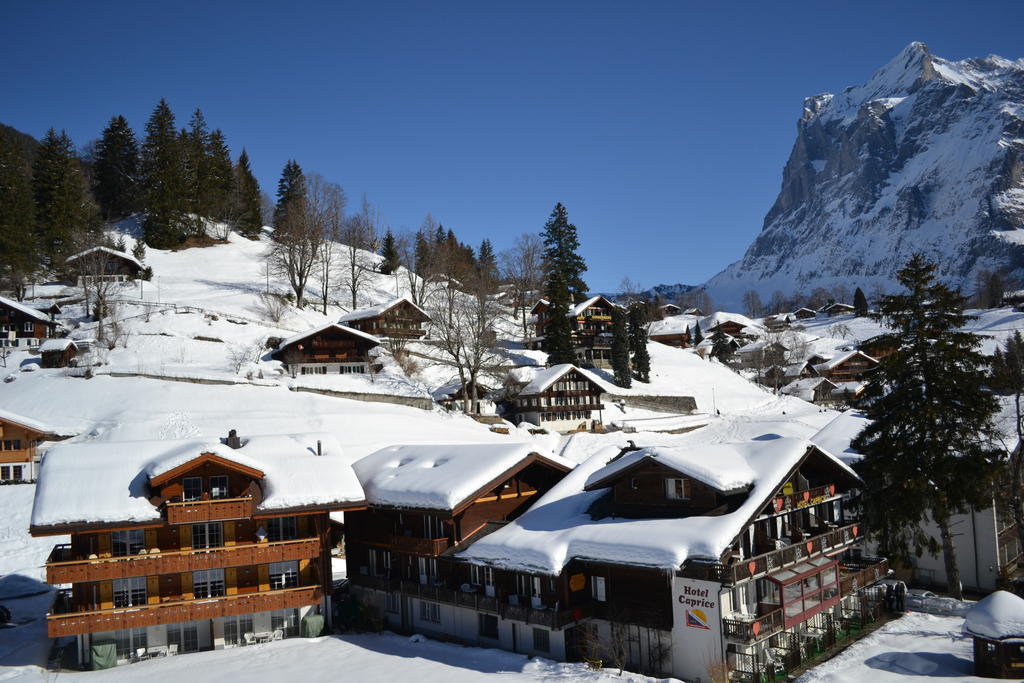 Apartment Residence Caprice Grindelwald Pokój zdjęcie