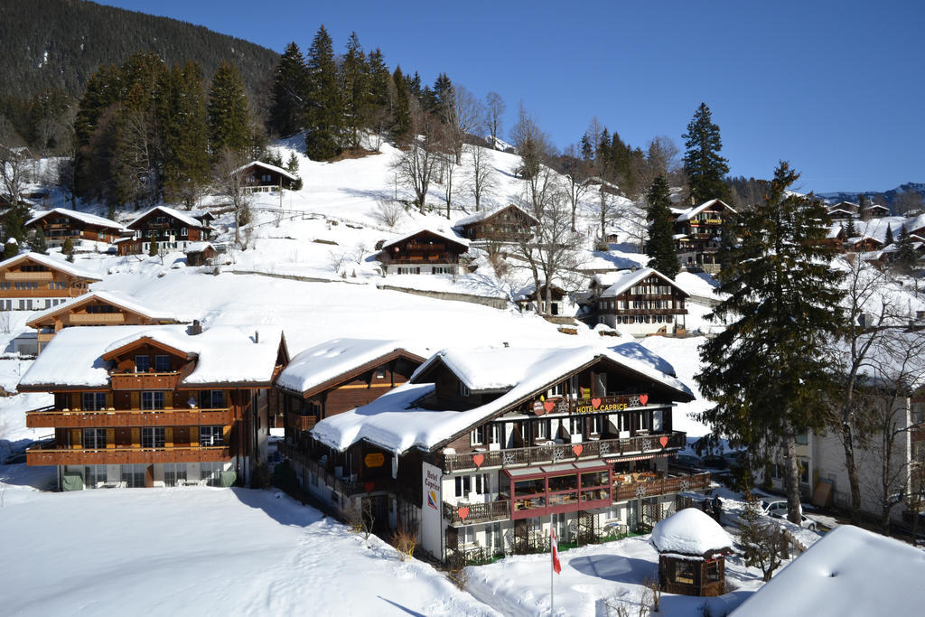 Apartment Residence Caprice Grindelwald Pokój zdjęcie