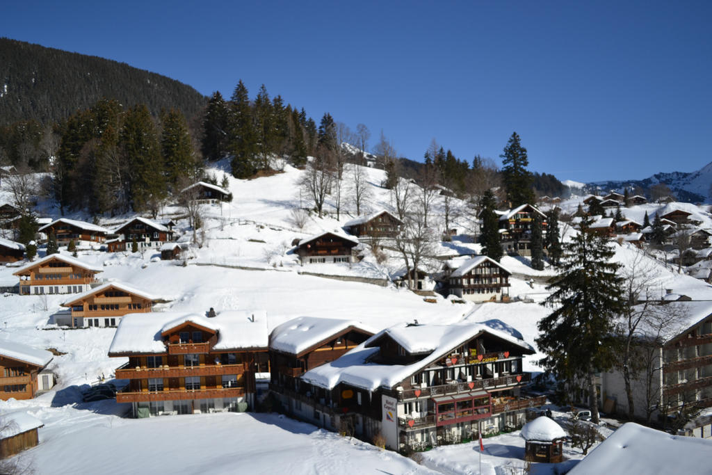Apartment Residence Caprice Grindelwald Pokój zdjęcie