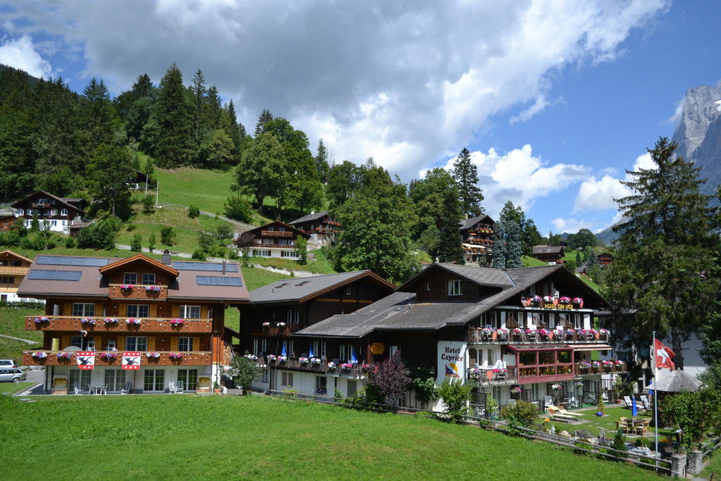 Apartment Residence Caprice Grindelwald Pokój zdjęcie