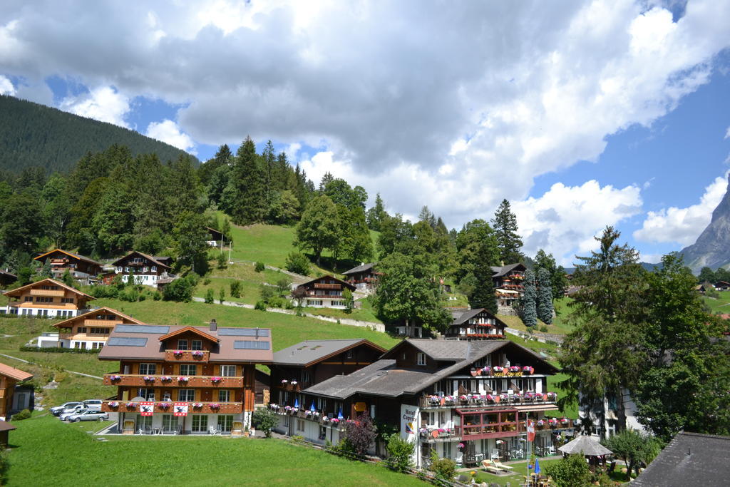 Apartment Residence Caprice Grindelwald Pokój zdjęcie