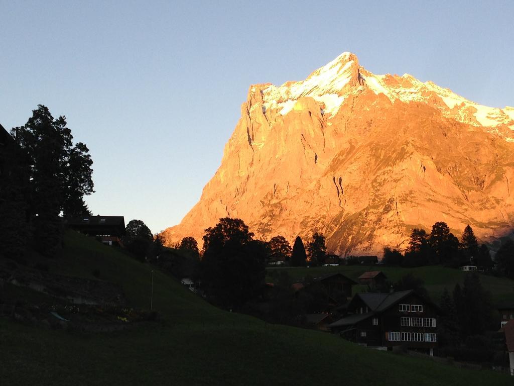 Apartment Residence Caprice Grindelwald Pokój zdjęcie